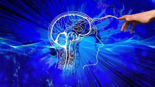 A CNS Tumor Methylation Classifier is an advanced diagnostic tool that classifies central nervous system (CNS) tumors by analyzing DNA methylation patterns