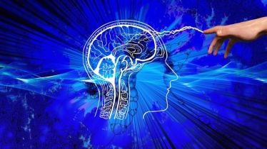 A CNS Tumor Methylation Classifier is an advanced diagnostic tool that classifies central nervous system (CNS) tumors by analyzing DNA methylation patterns
