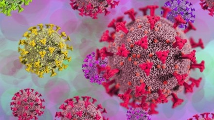 Covid symptoms in 2025