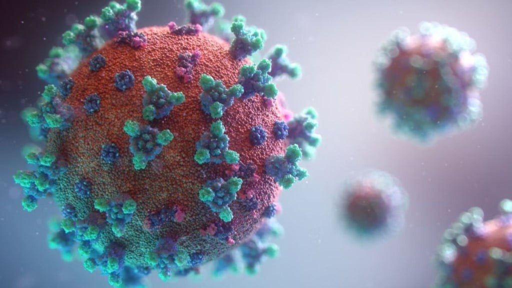 US summer covid surge