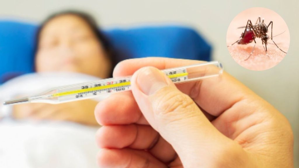 Foods that can help boost your platelet count during dengue