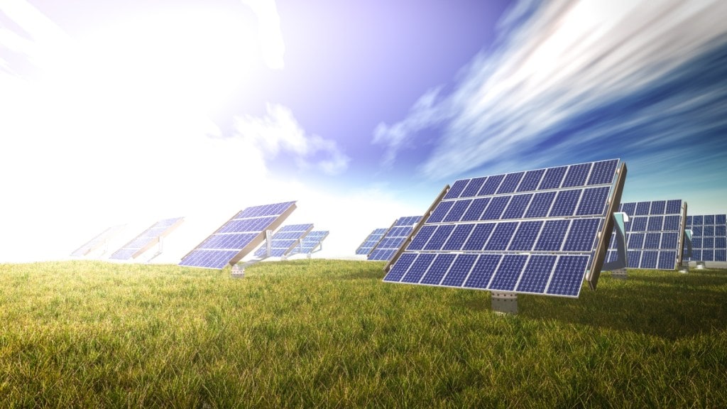 Solar power firms learn to live with red tape