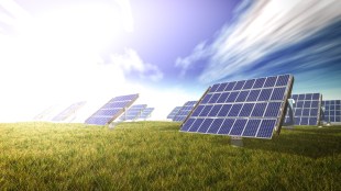 Solar power firms learn to live with red tape