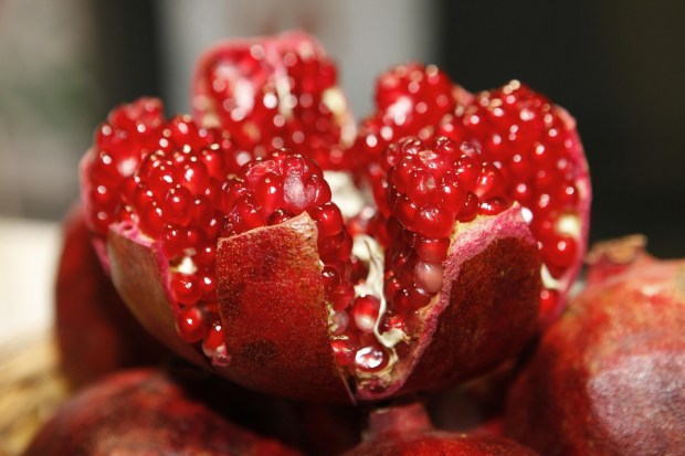 PomegranatePomegranate is a true monsoon superfruit. Packed with vitamin C, potassium, and antioxidants, it boosts immunity, supports heart health, and helps fight inflammation. Its antimicrobial properties protect against seasonal illnesses, and the iron it contains helps prevent anemia. Plus, the juicy seeds are refreshing and hydrating — perfect for the humid months. (Image: Pexels)