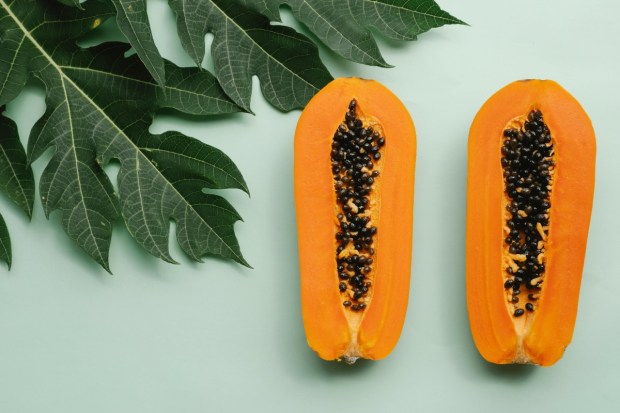 PapayaPapaya contains a special enzyme called papain that helps break down proteins and eases bloating — a common rainy-season problem. Loaded with vitamin C and vitamin A, it boosts immunity and improves skin health. Its high water and fiber content keeps you hydrated and supports digestion, making it a great choice for comfort and wellness during the wet months. (Image: Pixaby)