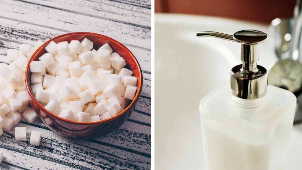 Here are 8 everyday toxins that Dr Sethi wants you to eliminate from your home immediately, to stay healthy and disease-free. Here are 8 everyday toxins that Dr Sethi wants you to eliminate from your home immediately, to stay healthy and disease-free.