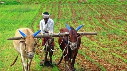 FPO, Farm future, Economy, minimum support price, MSP, farmers