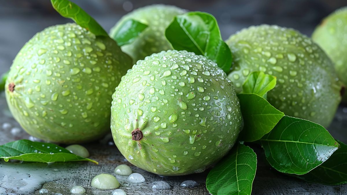 Guava leaves health benefits
