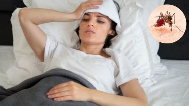 Delhi malaria cases