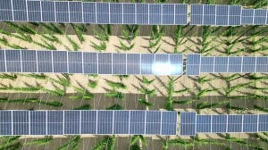 India solar capacity 280 GW Nuvama report