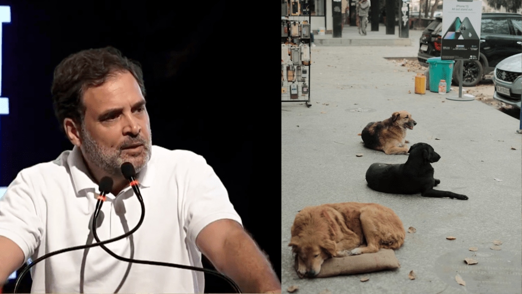 Supreme Court, a day after its order on relocating street dogs to shelter homes in eight weeks in Delhi-NCR, has issued a directive mandating the proper disposal of leftover food items inside the court complex to avoid dog bites. Supreme Court, a day after its order on relocating street dogs to shelter homes in eight weeks in Delhi-NCR, has issued a directive mandating the proper disposal of leftover food items inside the court complex to avoid dog bites.