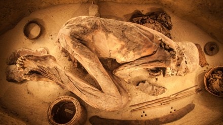 Two 7,000 year old mummies were discovered in the Sahara desert and scientists discovered something shocking about them. (Image source: Canva) Two 7,000 year old mummies were discovered in the Sahara desert and scientists discovered something shocking about them. (Image source: Canva)
