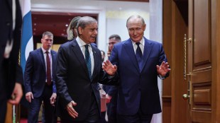 'Respect your relationship with India but…': What Pakistan's Shehbaz Sharif told Putin during meeting (Photo: AP)