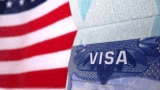 H-1B visa fee hike to shave just 10-20 bps off IT margins: Crisil
