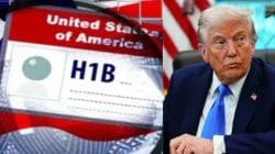 ‘No need to rush back to US,’ White House clarifies, H-1B visa only for new applicants