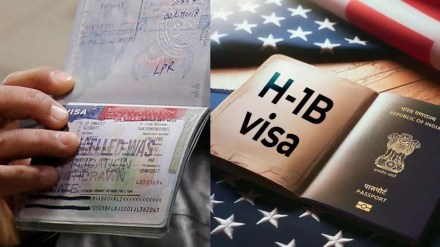 ‘O-1 visa is the new H-1B,’ netizens claim will always find a way to exploit the visa system