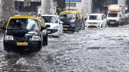 India heavy rainfall alert: IMD rainfall prediction