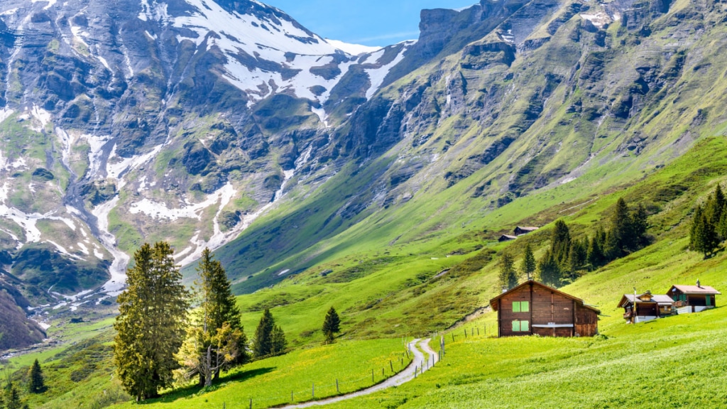 A Zurich-based online yoga store, for instance, sells a simple Rudraksha mala for nearly 50 Swiss francs, describing its power to “cool the body” and “act on the autonomic nervous system”.