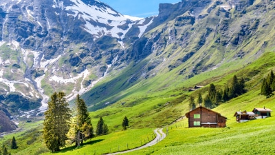 Switzerland takes a fancy to Rudraksha