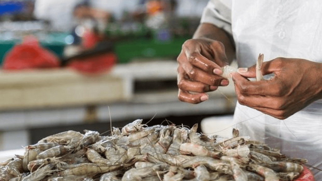 The EU countries imported marine products valued at $ 67.84 billion during 2024, of which India’s share was 1.50% only. 