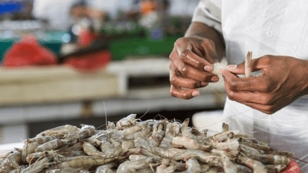 The EU countries imported marine products valued at $ 67.84 billion during 2024, of which India’s share was 1.50% only. 