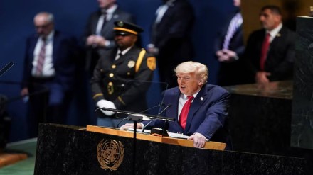 Donald Trump Donald Trump