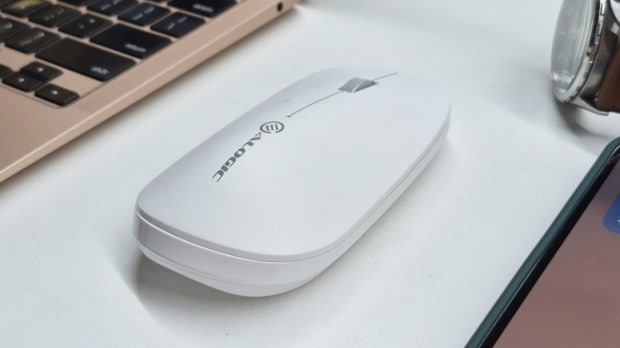 Echleon mouse