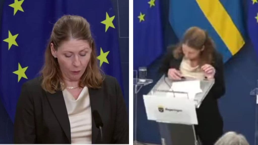 Sweden's newly appointed Health Minister Elisabet Lann collapsed in the middle of a press conference, due to low blood sugar Sweden's newly appointed Health Minister Elisabet Lann collapsed in the middle of a press conference, due to low blood sugar