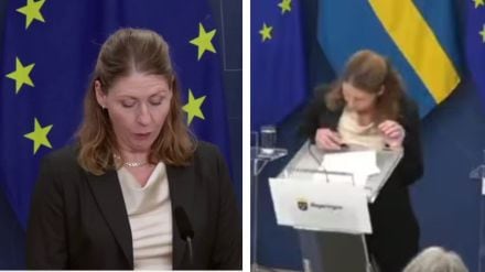 Sweden's newly appointed Health Minister Elisabet Lann collapsed in the middle of a press conference, due to low blood sugar Sweden's newly appointed Health Minister Elisabet Lann collapsed in the middle of a press conference, due to low blood sugar
