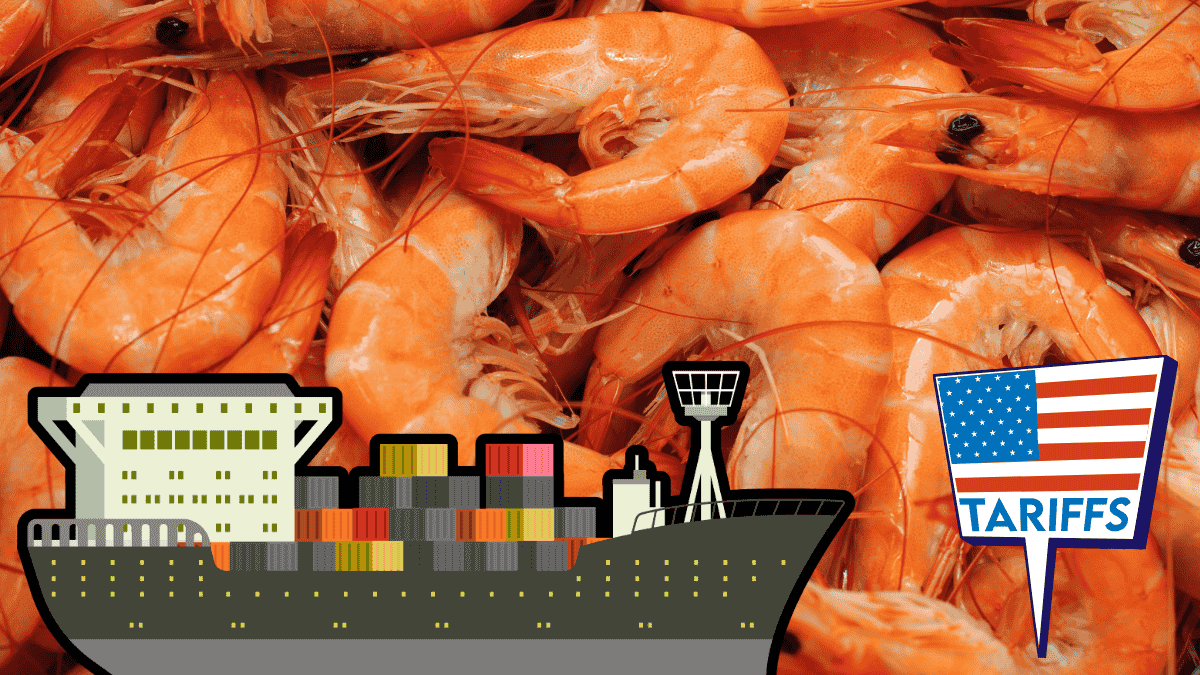 Kerala warns of Rs 4,500 crore export loss as US tariffs hit shrimp, spices, tea and more