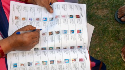 SIR underway in 12 states - Here's how you can fill enumeration forms online (Image: PTI)