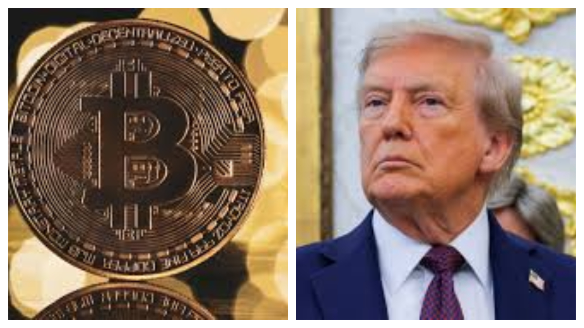 American Bitcoin, backed by Trump Sons, Begins trading on Nasdaq. (Image Source: Reuters) American Bitcoin, backed by Trump Sons, Begins trading on Nasdaq. (Image Source: Reuters)