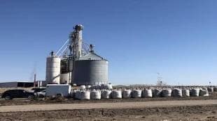 Grain- based ethanol makers