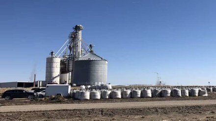 Grain- based ethanol makers