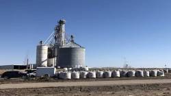 Grain-based ethanol makers seek cap on new investments 