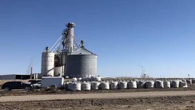 Grain- based ethanol makers seek cap on new investments 