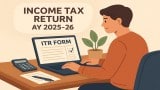 I-T dept dismisses portal glitches, 'difficulty may arise due to local system settings'