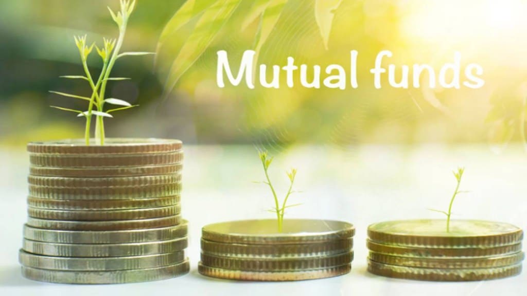 flexicap vs multicap mutual fund comparison india 2025