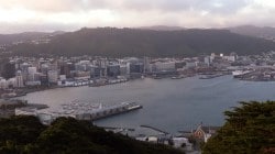 Indians among top 5 nationalities overstaying visas in New Zealand
