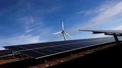 Order boost: Waaree Renewable shares jump 3% on Rs 1,252 crore order win