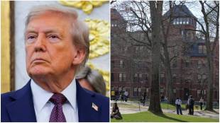 Trump VS harvard
