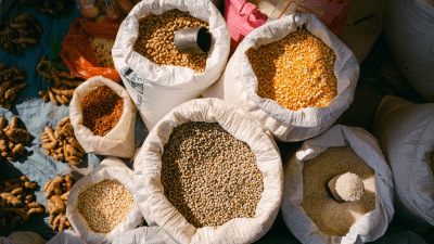 Govt projects a modest 2.4% growth in foodgrains production in 2025-26