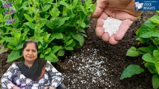 Fertiliser stocks are back in focus