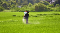 TERI sees up to 50% drop in chemical fertilisers use 