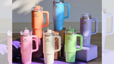 For many consumers, a Stanley tumbler is no longer just a water bottle. It functions as what economists call a Veblen good, its desirability increases with its price and exclusivity.