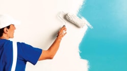 Birla Opus dents Asian Paints’ dominance with 6.6% market share