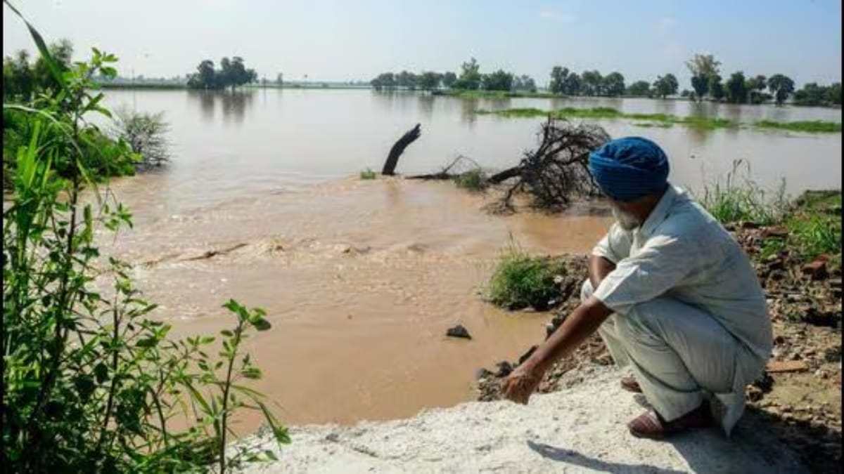 agriculture, economy, kharif crops, rains, IMD, crops