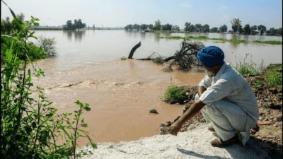 Punjab, Rajasthan staring at major crop losses after heavy rains: Crisil