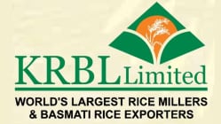 KRBL to review governance lapses via third party