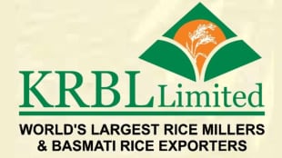 KRBL, India Gate basmati, brand, basmati rice, industry, BSE
